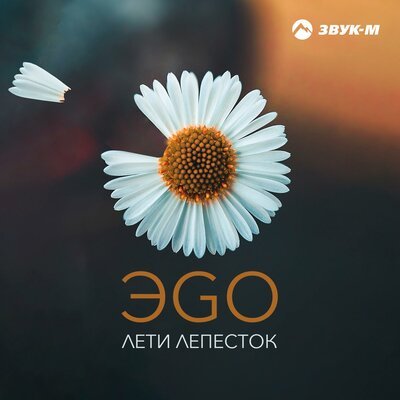 Скачать песню ЭGO - Лети Лепесток