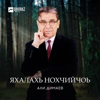 Скачать песню Али Димаев - Яхалахь, Нохчийчоь