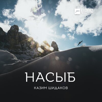 Скачать песню Казим Шидаков - Назиля