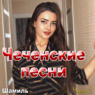 Скачать песню Шамиль - Петимат